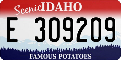 ID license plate E309209