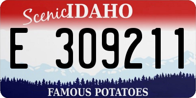ID license plate E309211