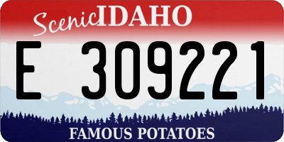 ID license plate E309221