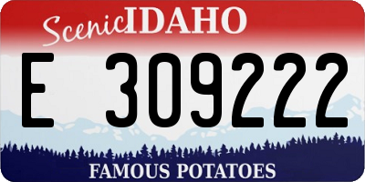 ID license plate E309222
