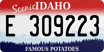 ID license plate E309223