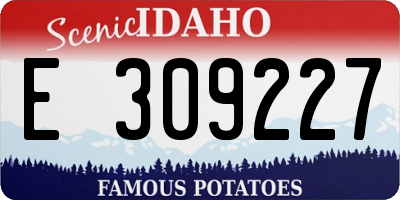 ID license plate E309227