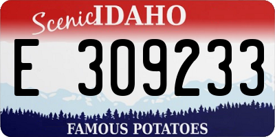ID license plate E309233