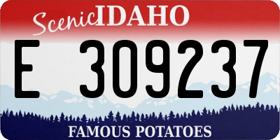 ID license plate E309237