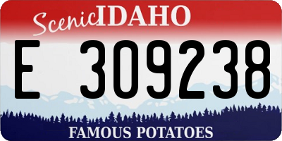 ID license plate E309238