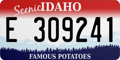 ID license plate E309241