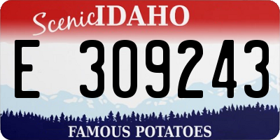 ID license plate E309243