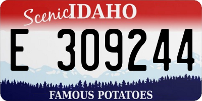 ID license plate E309244