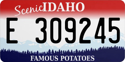 ID license plate E309245