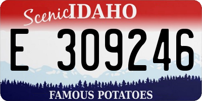 ID license plate E309246