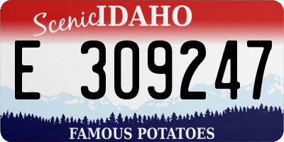 ID license plate E309247