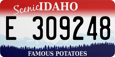 ID license plate E309248