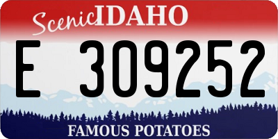 ID license plate E309252