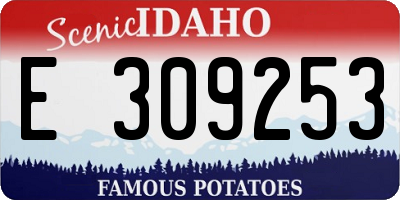 ID license plate E309253