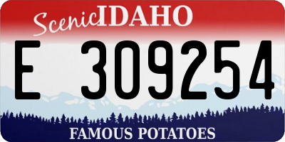 ID license plate E309254