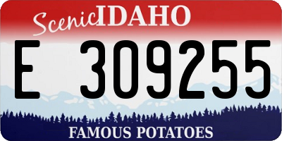 ID license plate E309255
