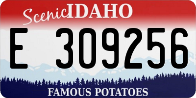 ID license plate E309256