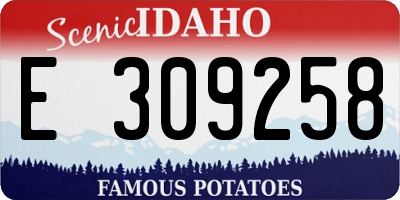 ID license plate E309258