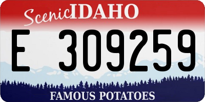 ID license plate E309259