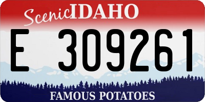 ID license plate E309261