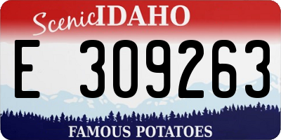 ID license plate E309263