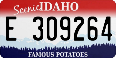 ID license plate E309264