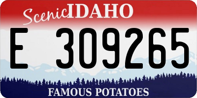ID license plate E309265