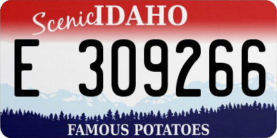 ID license plate E309266