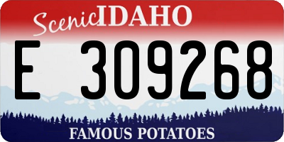 ID license plate E309268