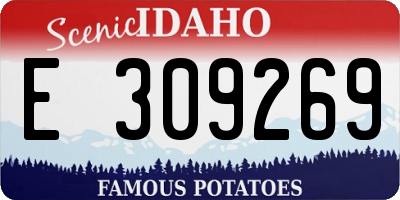ID license plate E309269