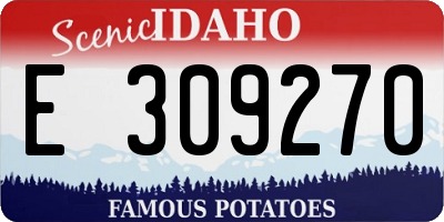 ID license plate E309270