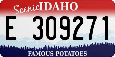ID license plate E309271