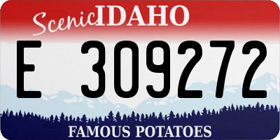 ID license plate E309272
