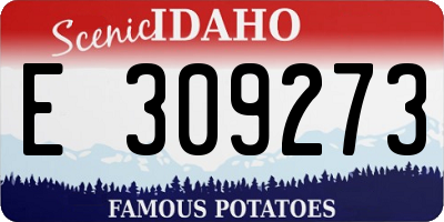 ID license plate E309273