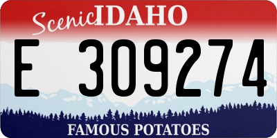 ID license plate E309274