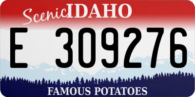 ID license plate E309276
