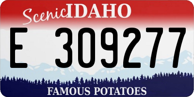 ID license plate E309277