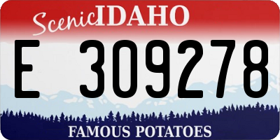 ID license plate E309278