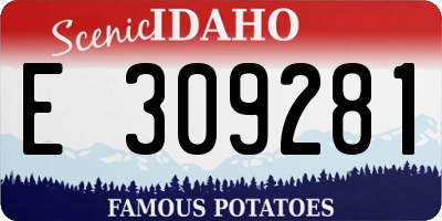 ID license plate E309281
