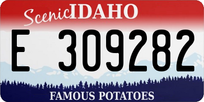 ID license plate E309282