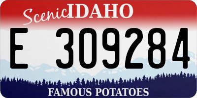 ID license plate E309284
