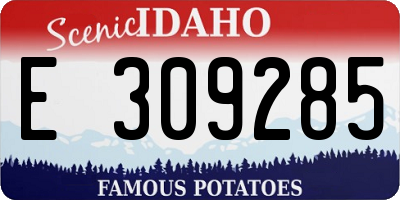 ID license plate E309285