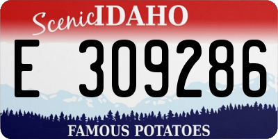 ID license plate E309286