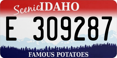 ID license plate E309287