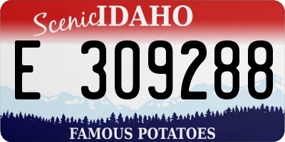 ID license plate E309288