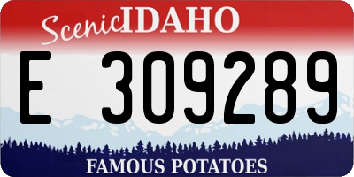 ID license plate E309289