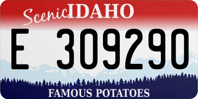 ID license plate E309290