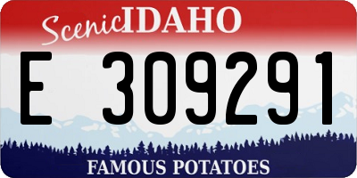 ID license plate E309291