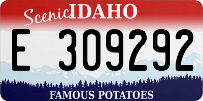 ID license plate E309292