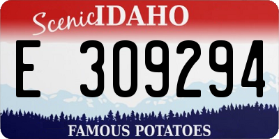 ID license plate E309294